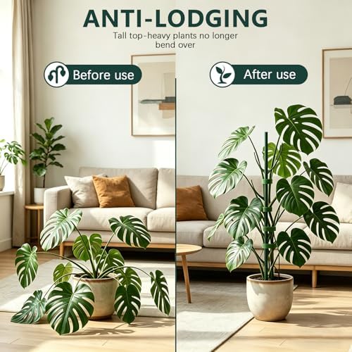 5-Pack Monstera Plant Support Stakes, 11 Inch Stackable Plant Stakes for Indoor Plants with Twist Clips and Plant Ties, Great for Climbing Potted Plants, Indoor & Outdoor Garden Stake Set