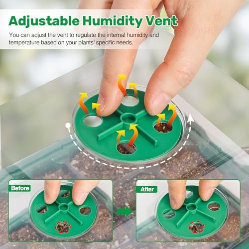 10-Pack Seed Starter Trays, Tall Dome, Base, 12-Cell Tray, Green