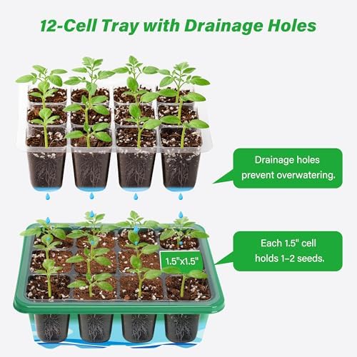 5-Pack Seed Starter Trays, Humidity Dome, Base, 12-Cell Tray, Green