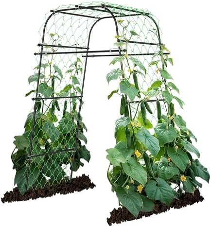 AlisisFores Garden Arch Plant Trellis, Black, 6.7FT