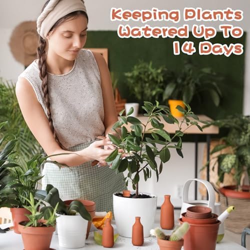 DoubleFill Ollas Terracotta Watering Pots, 10,16,24 oz, 4 Pcs