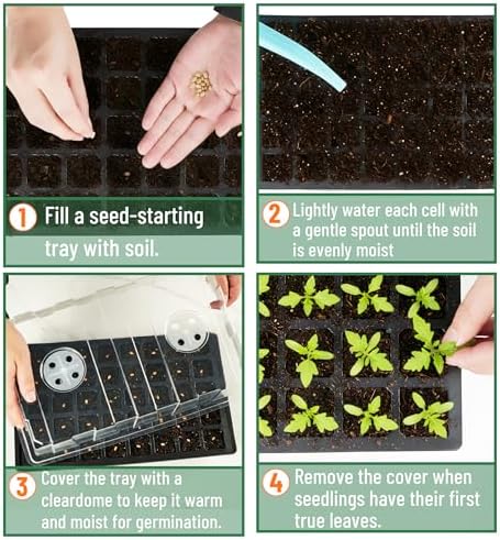 Mr. Pen- Seed Starter Tray Kits, 5 Set, Total 200 Cells