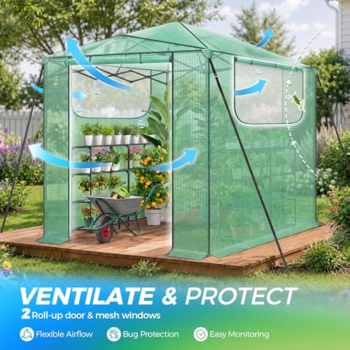Ohuhu 6×8 ft Walk in Pop Up Greenhouse UPGRADED WIND-READY One-Push Frame