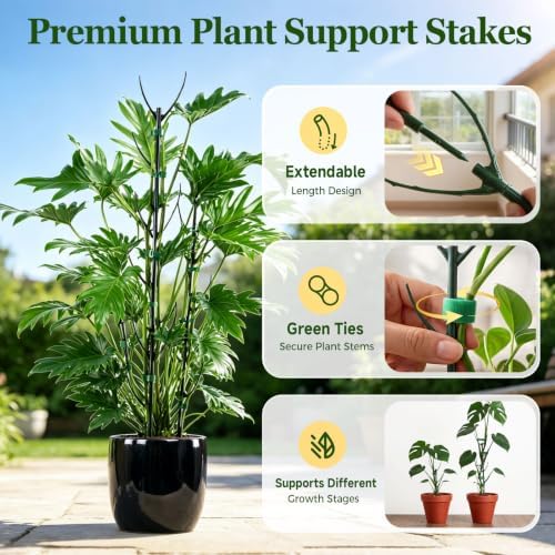 10 Packs Stackable Monstera Plant Support Stakes for Small Potted Plants