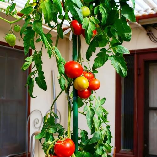 Garden Stakes, 15 Pack 8 FT Steel Plant Garden Tomato Stakes with Plastic Coat for Climbing Plants (96 Inch)