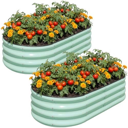 Raised Garden Bed Outdoor 4x2x1ft, 2 Pack