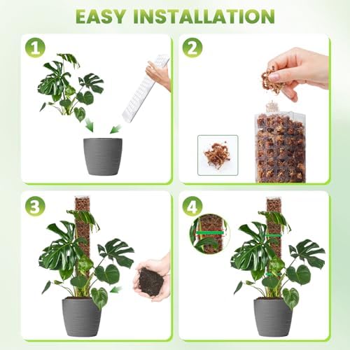 EOX Plastic Moss Pole for Monstera and Climbing Plants, 36-Inch, 2-Pack