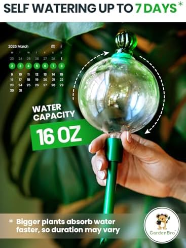 4pc 16 Oz Plant Watering Globes Large Self Watering Globes For Indoor Plant