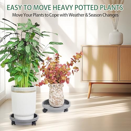1 Pack 12 inch Plant Caddy with Wheels, Drainage & Self-Watering Design, Movable Wheeled Round Planter Saucer Stand Coaster, Planter Pots Dolly Rack Tray Indoor Outdoor