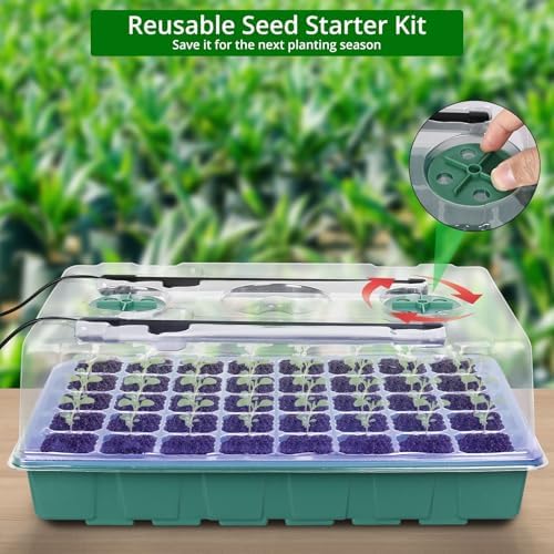 Sondiko Seed Starter Tray with Grow Light, Display Digital Controller