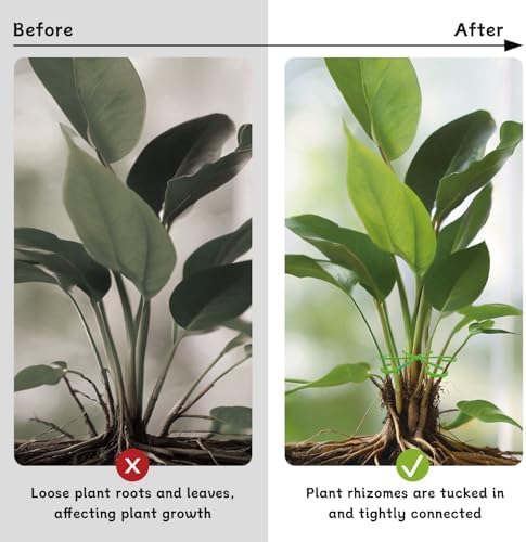 4 Pcs Plant Stem Support Reusable Plant Growth Accessories, Different Sizes Climbing Plant Stakes for Indoor Plants to Decorative (Green)