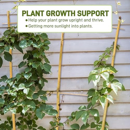 Avalution 10 Pack Bamboo Trellis for Climbing Plants, 3 FT Garden Ladder Trellis for Potted Plants Indoor, Fan-Shaped Small Plant Support Trellis for Houseplants Ivy Hoya Vine Monstera