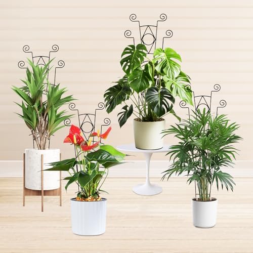 Yhtpouqe Indoor Plant Trellis for Climbing Plants 2 Pack Small Garden Metal Support for Potted Plants Flowers Houseplants for Outdoor