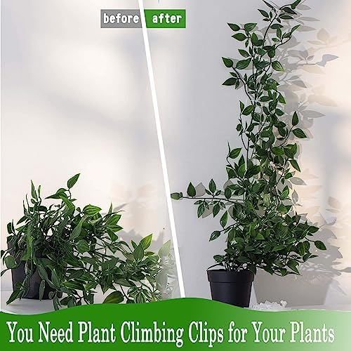 Tmofs 100Pcs Plant Climbing Wall Fixture Clips,Plant Fixer Invisible Wall Vines Fixing Clips Self-Adhesive Clips Plant Vine Traction for Indoor Outdoor Decoration and Cable Wire Fixing (Green)