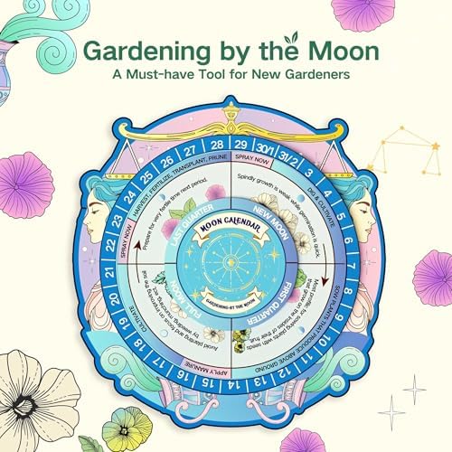 Lush&Dew Zodiac Garden Seed Bank Air Signs, Gardening Gifts for Women Men