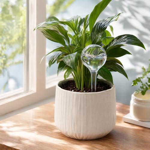 4 Pack Clear Self Watering Globes, 10oz Plastic Plant Water Bulbs, Automatic Self Watering Planter Insert for Indoor Houseplants Garden