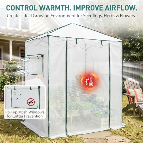 EAGLE PEAK 6x4 Easy Setup Small Pop Up Greenhouse, Clear/White