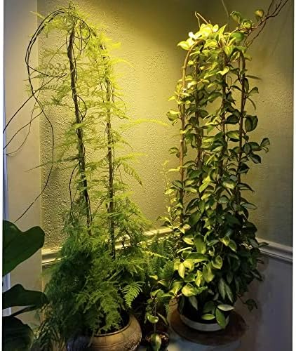 Avalution 10 Pcs Natural U-Hoops Bamboo Garden Trellis, 4 Ft Bamboo Trellis U-Shape Plant Support for Climbing Plants Indoor and Outdoor Use