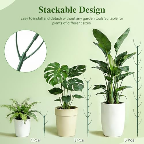 6 Pack Monstera Plant Support for Indoor & Outdoor Plants with Clips & Ties