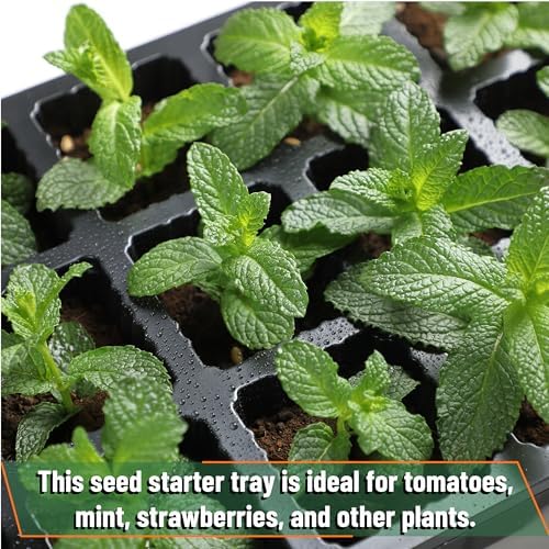 Mr. Pen- Seed Starter Tray Kits, 5 Set, Total 200 Cells