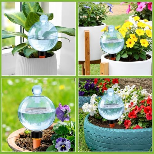 DI QIU REN 19oz Extra Large Self Watering Globes, Automatic Plant Waterer with Glass Stopper - Slow Release Watering Bulbs & Planter Insert, Top-Fill Water Spikes Stakes for Indoor Plants (6, Blue)