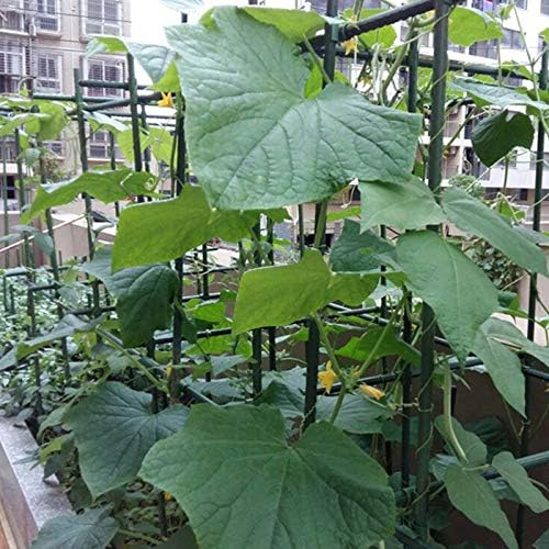Garden Stakes, 30 Inch 2.5Ft Steel Plant Tomato Stakes, 25 Pack