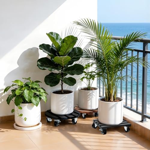 2 Pack Plant Stand with Wheels, Plant Caddies with 360° Lockable Smooth Sliding Wheels Durable Sturdy, Outdoor/Indoor Heavy Duty Rolling Plant Stand for Plant Pot,Flower Pot (11" Black)