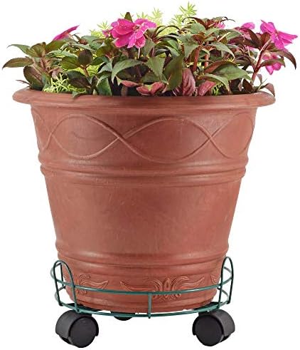 Arcadia Garden Products 1556 Basic Plant Caddy, 10 Inch