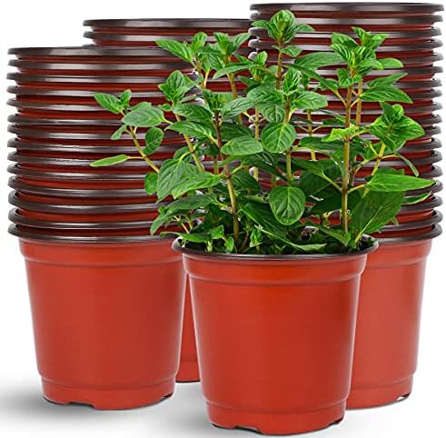 75 Pcs 6 Inches Plastic Plants Nursery Pot, Seed Starting Pots