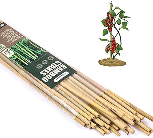 Bamboo Sticks, Bamboo Stakes 2 Feet, 30pcs Plant Support Stakes