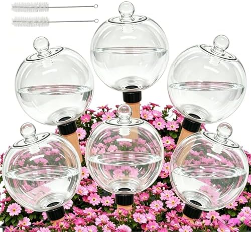 6 Pack 26oz Extra Large Self Watering Globes with 2 Brushes