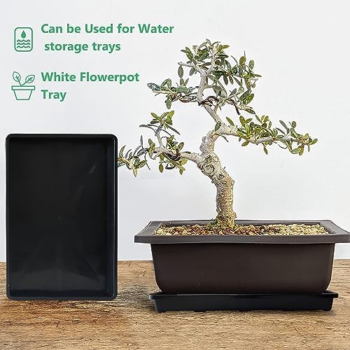 RooTrimmer 5 Pack Nursery Potting Tray, Carrying and Holding Plant Tray for Seeds Starting Pot, Collecting Drainage Water(Black)