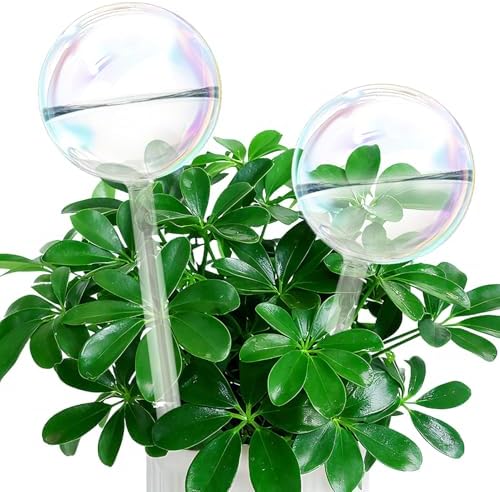 iGarden Self Watering Globes, Glass Rainbow Plant Watering Globes, 2 Pack