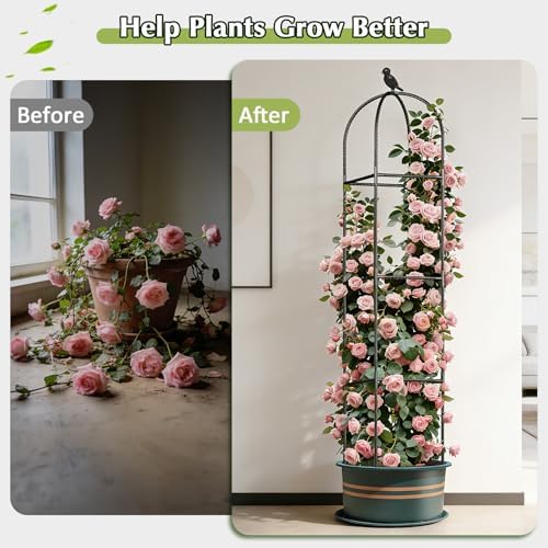 Square Tomato Cages for Garden, 6.2 FT Cucumber Trellis for Flowers, Grape, Pea, Rose, Bean, Rustproof Plastic Coated Metal Plant Support for Potted Plants Indoor Outdoor- 1PC Obelisk Trellis