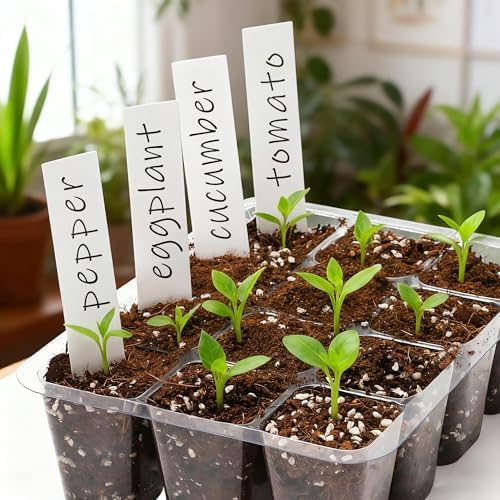 12-Pack Seed Starter Trays, 12-Cell Insert Trays, Clear