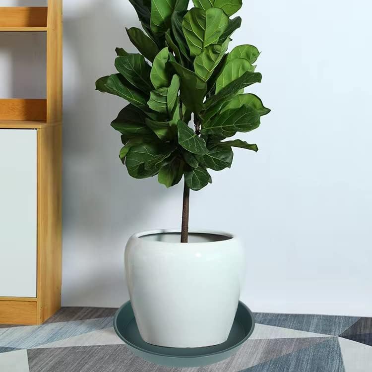 4 Pack of 18 19 inch Plant Saucer Drip Tray (16.6 inch Base), Heavy Duty Large Deep Plant Saucers for Pots, Plastic Flower Planter Water Trays for Indoors Outdoor (19", Green)