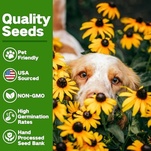Lush&Dew Pet-Friendly Heirloom Seed Bank, Gardening Gifts for Women Men