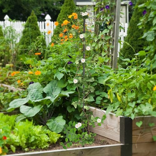Outdoor Metal Trellis for Climbing Plants, Heavy Duty Rustproof Garden Trellis 45inch, Sturdy Plant Support for Roses, Ivy, Tomatoes, Cucumbers, Flowers 2pcs Black