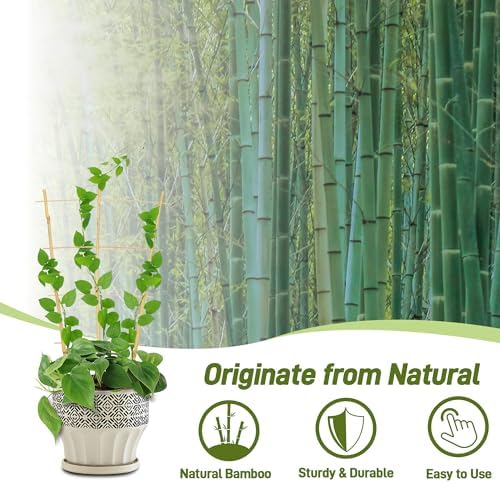 Avalution 10 Pack Bamboo Trellis for Climbing Plants, 2 FT Garden Ladder Trellis for Potted Plants Indoor, Fan-Shaped Small Plant Support Trellis for Houseplants Ivy Hoya Vine Monstera