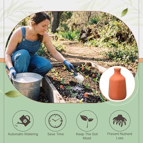 DoubleFill Ollas Terracotta Watering Pots, 100 oz, 1 Pcs