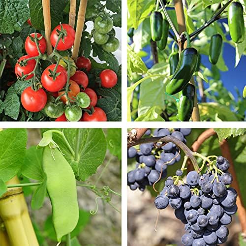 Bamboo Sticks, Bamboo Stakes 2 Feet, 30pcs Plant Support Stakes