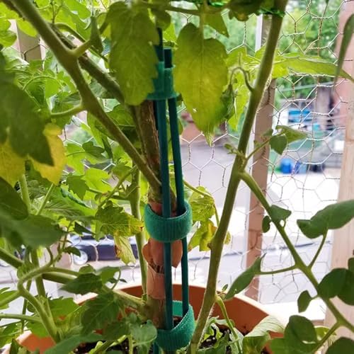100PCS 18" Wooden Garden Stakes with 100PCS 4" Garden Ties, Green Bamboo Sticks, Floral Plant Support, Tomato Stakes