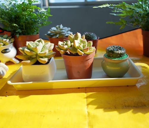 VUWEZ 2 Pack Plastic Plant Trays Rectangular 14 inch, Indoor/Outdoor Plant Water Drip Trays for Flower Pot Planter, Windowsill (6.8 X 14.5'', Beige)