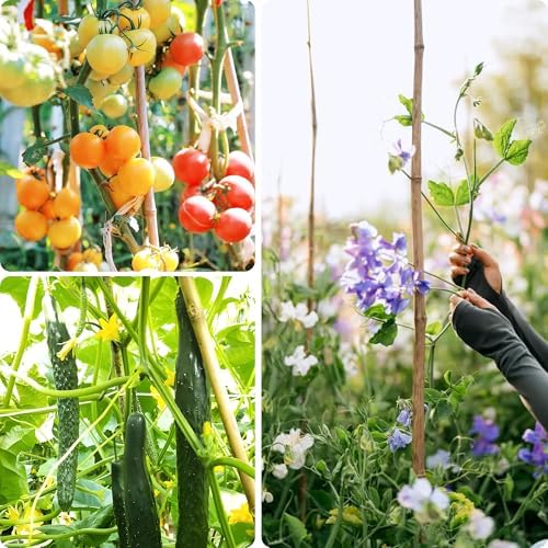 Bamboo Stakes 3ft, 50 Pack Garden Stakes, Bamboo Sticks for Plant