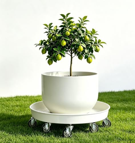 Heavy Duty Plant Caddy(430lbs Capacity), Rolling Metal Plant Stand with Brake Wheels Plant Dolly Planter Mover Plant Pot Tray Saucer for Indoor Outdoor 16 Inches White 2Pack