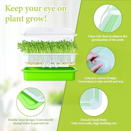 8 Pack Seed Sprouter Trays with Lids, Microgreens Growing Trays Kit
