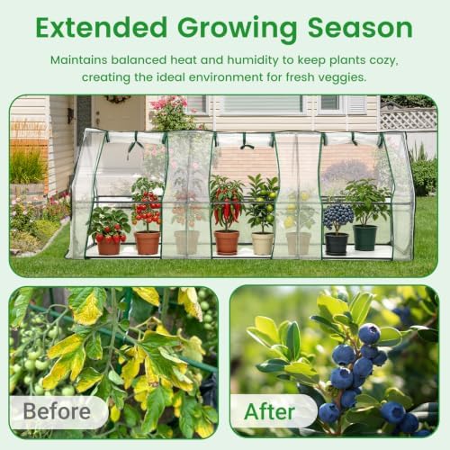 Mini Greenhouses for Outdoors Portable Greenhouse Tent 106"x36"x36" Zippered Doors & Roll-up Windows, Water Resistant, UV Protected for Outdoor Flowers, Vegetables, Green
