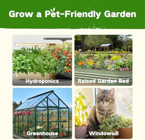 Lush&Dew Pet-Friendly Heirloom Seed Bank, Gardening Gifts for Women Men
