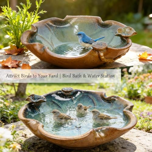 Ceramic Bird Bath and Feeder, Heavy Duty 12.5-In Ground Ceramic Birdbath