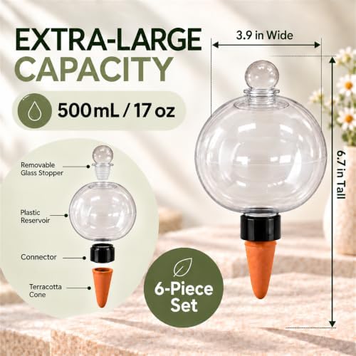 6 Pack 17 oz Extra Large Self-Watering Globes for Indoor and Outdoor Plants